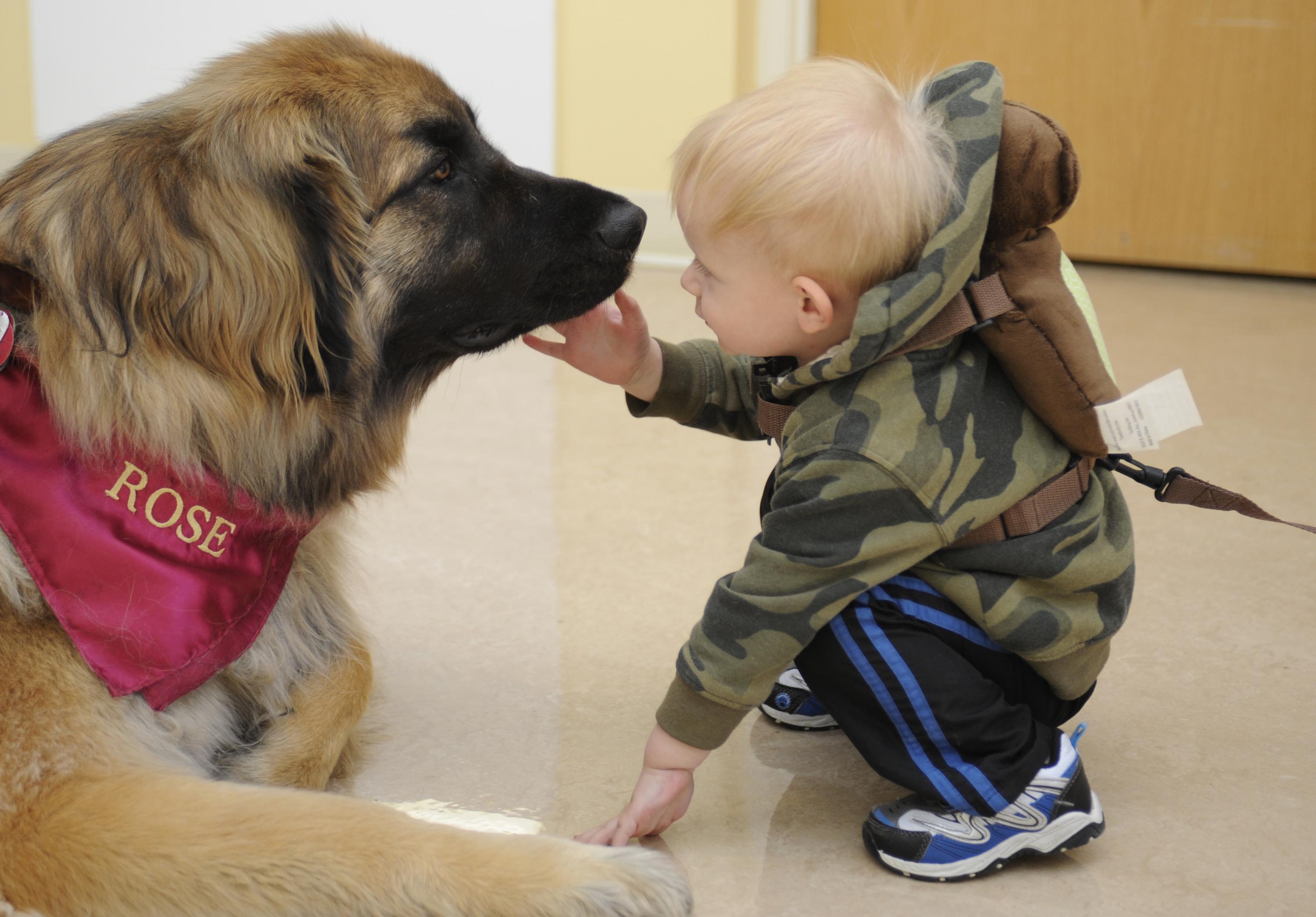 Image: Wellness Wednesdays: pet therapy